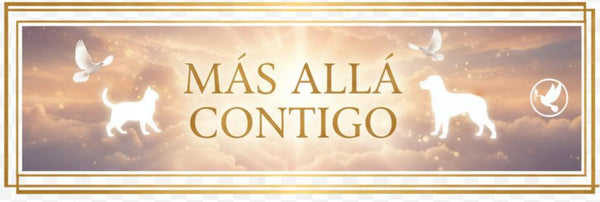Mas Alla Contigo